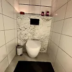 Hortensja 309 Košalín